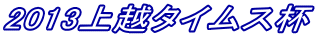 2013��z�^�C���X�t
