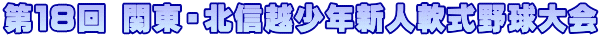 第１８回 関東・北信越少年新人軟式野球大会