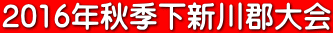 2016年秋季下新川郡大会
