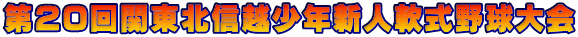 第20回関東北信越少年新人軟式野球大会