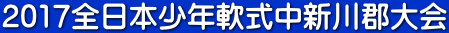 2017全日本少年軟式中新川郡大会