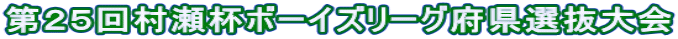 第２５回村瀬杯ボーイズリーグ府県選抜大会