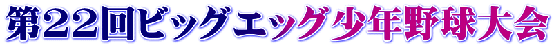 第22回ビッグエッグ少年野球大会