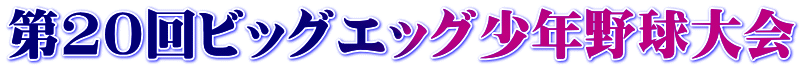 第20回ビッグエッグ少年野球大会