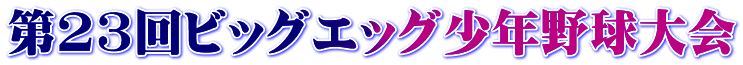 第23回ビッグエッグ少年野球大会