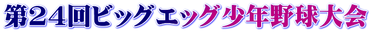 第24回ビッグエッグ少年野球大会