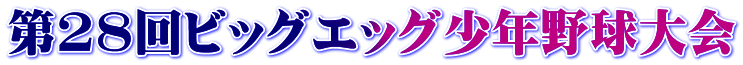 第28回ビッグエッグ少年野球大会